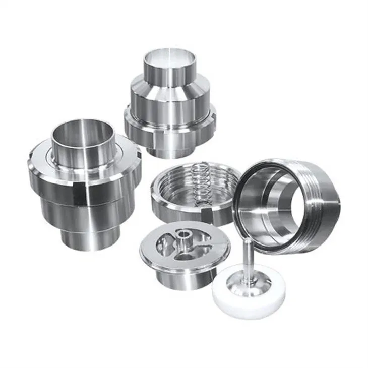 check valve (2)